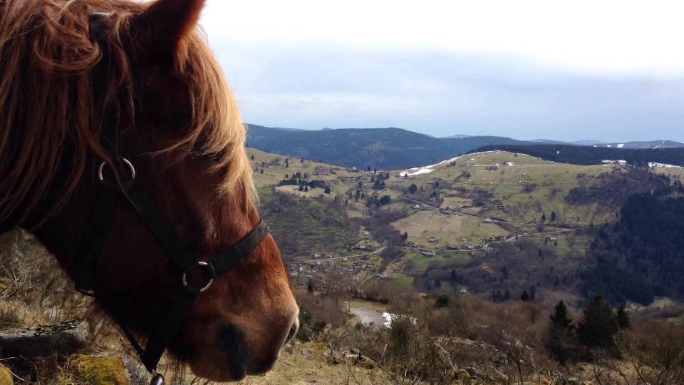 Equi'Val Villa Le Tholy Eksteriør bilde
